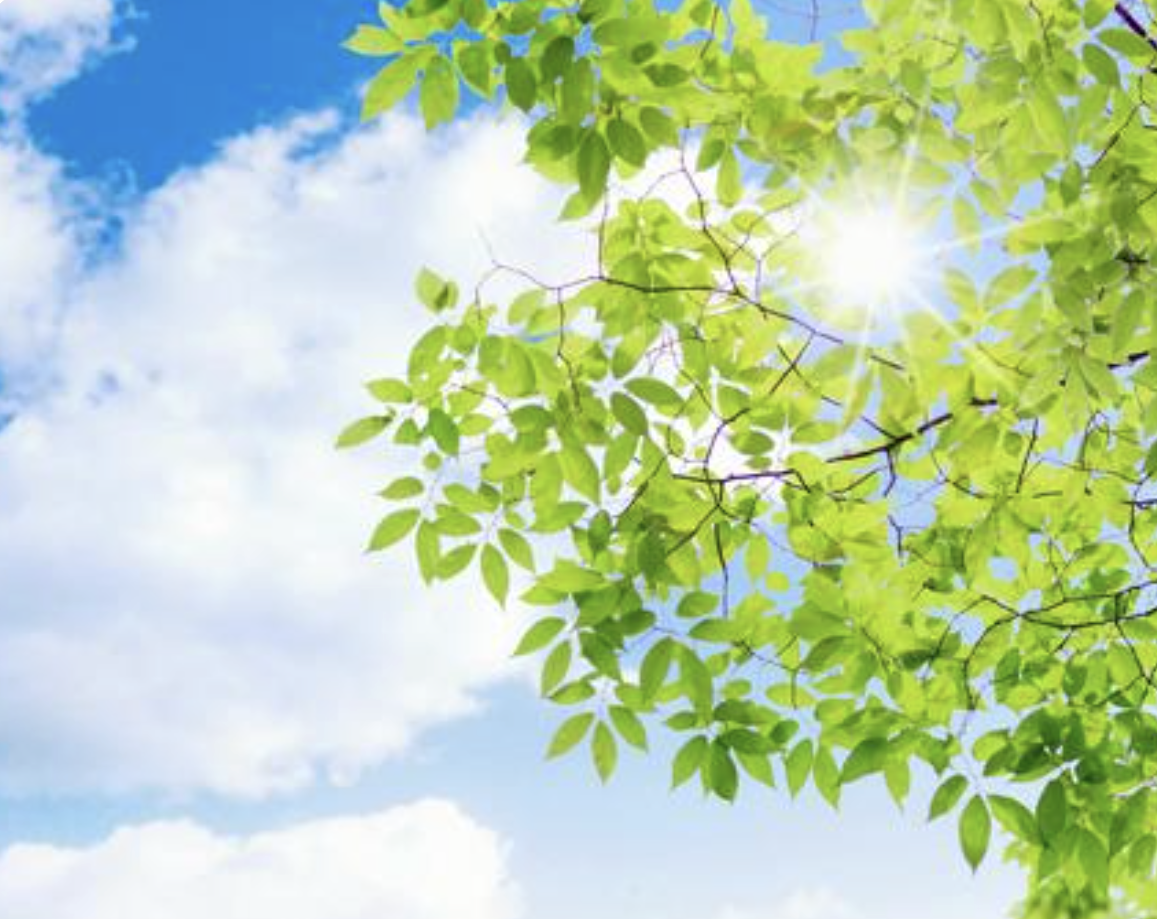 リフレッシュ休暇をいただきます🙇💦